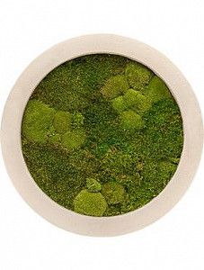 Картина из мха iii natural