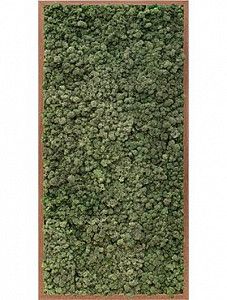 Картина из мха iii meranti