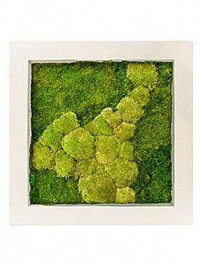 Картина из мха vii natural