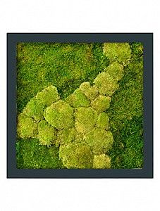 Картина из мха iv stiel ral 7016 mat