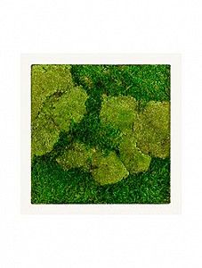 Картина из мха iii stiel ral 9010 mat