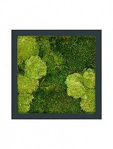 Картина из мха stiel ral 7016 mat