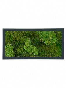 Картина из мха ii stiel ral 7016 mat