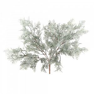 Зелень 201